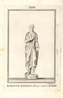 Paolo Gallery: Statue of a Roman, believed to be Caius Marius