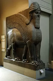Mesopotamian Gallery: Statue of a winged lion with human head. Nimrud