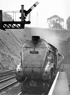 Signals Collection: Steam locomotive Sir Nigel Gresley, Welwyn Garden City