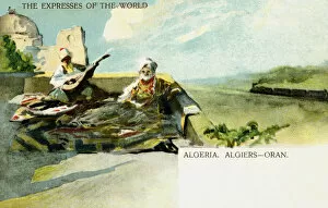 Algiers Gallery: Steam train on Algiers to Oran route, Algeria