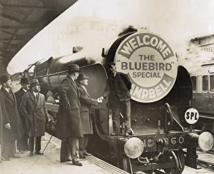 Images Dated 5th August 2016: Steam train celebrating Malcolm Campbells record