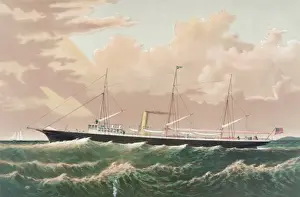 Steam yacht Polynia