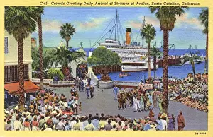 Catalina Prints: Steamer at Avalon, Santa Catalina Island, California, USA