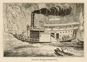 Steamship Belvidere