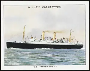 STEAMSHIPS / ASTURIAS