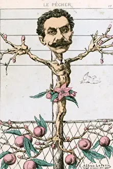 STEENACKERS CARICATURED