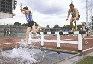 Steeple Chase Gallery: Steeplechase Water Jump
