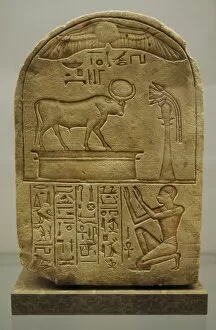 Hieroglyph Collection: Stele dedicated to bull Mnevis by laundryman Ipi. Egypt