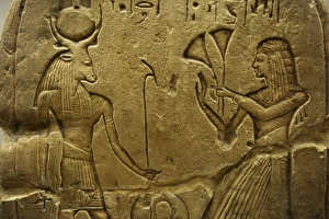 Offer Gallery: Stele dedicated to Mnevis, the bull of Ra. Egypt