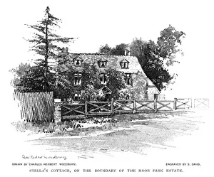 Stella Prints: Stellas Cottage