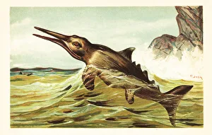 Stenopterygius quadriscissus, extinct ichthyosaur