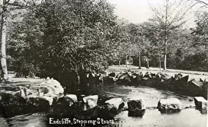 Stepping Prints: Stepping Stones, Endcliffe Park, Sheffield, Yorkshire