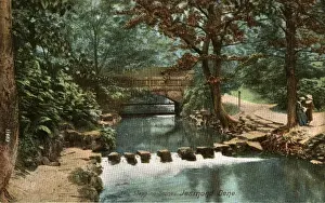 Stepping Prints: Stepping Stones, Jesmond Dean, County Durham