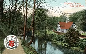 Stepping Prints: Stepping Stones, Jesmond Dene, County Durham