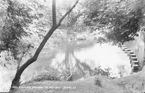 Stepping Prints: Stepping Stones Near Box Hill