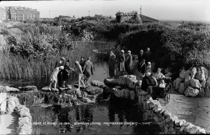 Stepping Prints: Stepping Stones at Promenade Garden