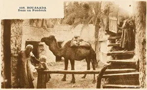Court Yard Prints: The steps leading down to a Fondouk at Bousaada, Algeria