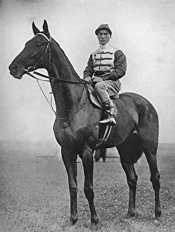 Steve Collection: Steve Donoghue on Gay Crusader