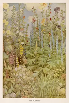 Stevenson / Poems / Flowers