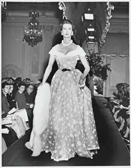 Stiebel / Cotton Dress