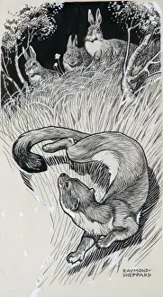 Stoat and Rabbits