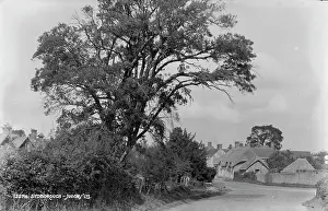 Thatched Roof Prints: Stoborough Village Scene