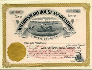 Share Collection: Stock Share Certificate - Willows Warehouse Association