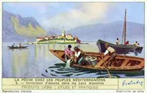 Stocking Lake Fish