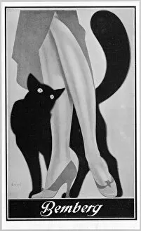 Curling Collection: Stockings Advert. 1931