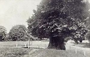 Minor Prints: The Stocks at Havering-atte-Bower, Romford, London, England