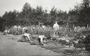 Images Dated 13th September 2019: Stoke Farm Reformatory for Boys, Stoke Prior, Worcestershire