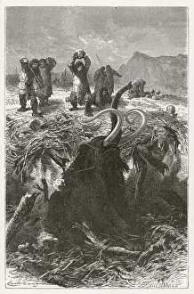 Pre History Prints: Stone Age Hunting