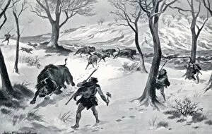 Images Dated 8th February 2011: Stone Age Man hunting bison