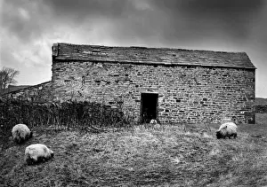 A stone barn on a farm in Coverdale in the Yorkshire Dales