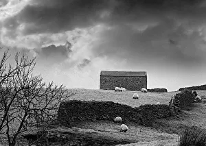 Images Dated 2nd July 2019: A stone barn on a farm in Coverdale in the Yorkshire Dales