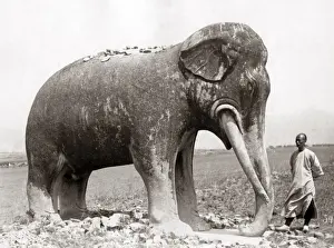 Stone elephant, Ming Tombs, China, circa 1890