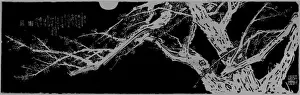 Engraver Prints: Stone engraving