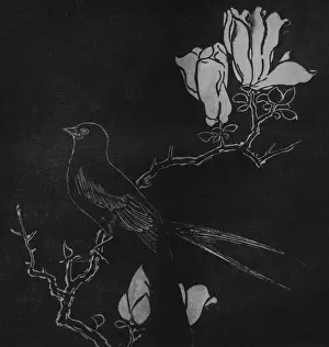 Stone engraving