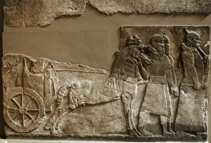 Remain Collection: Stone panel. Palace of Tiglath-pileser III. Nimrud. Iraq. Ne