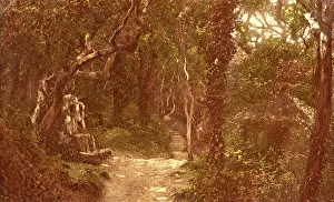 Landslip Prints: Stone Seat, The Landslip, Shanklin, Isle of Wight