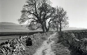 Stone-walled lane, Derbyshire Dales, England