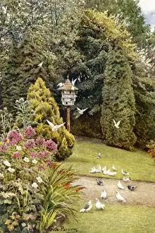 Stonelands Garden 1908