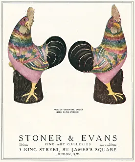 Stoner and Evans Advertisement