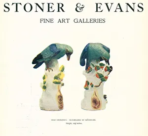 Stoner and Evans Advertisement