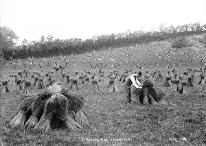 Bundles Prints: Stooking Flax, Co. Antrim