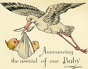 Stork Gallery: Stork & baby