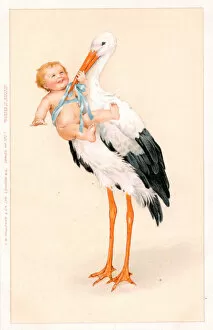 Stork Gallery: Stork with baby in blue ribbons on a greetings postcard