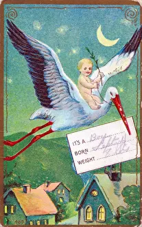 Stork with baby riding on its back on a greetings postcard