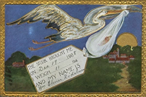 Stork Gallery: Stork Brings Baby