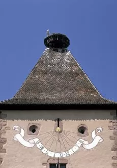 Stork Nest Turckheim Alsace